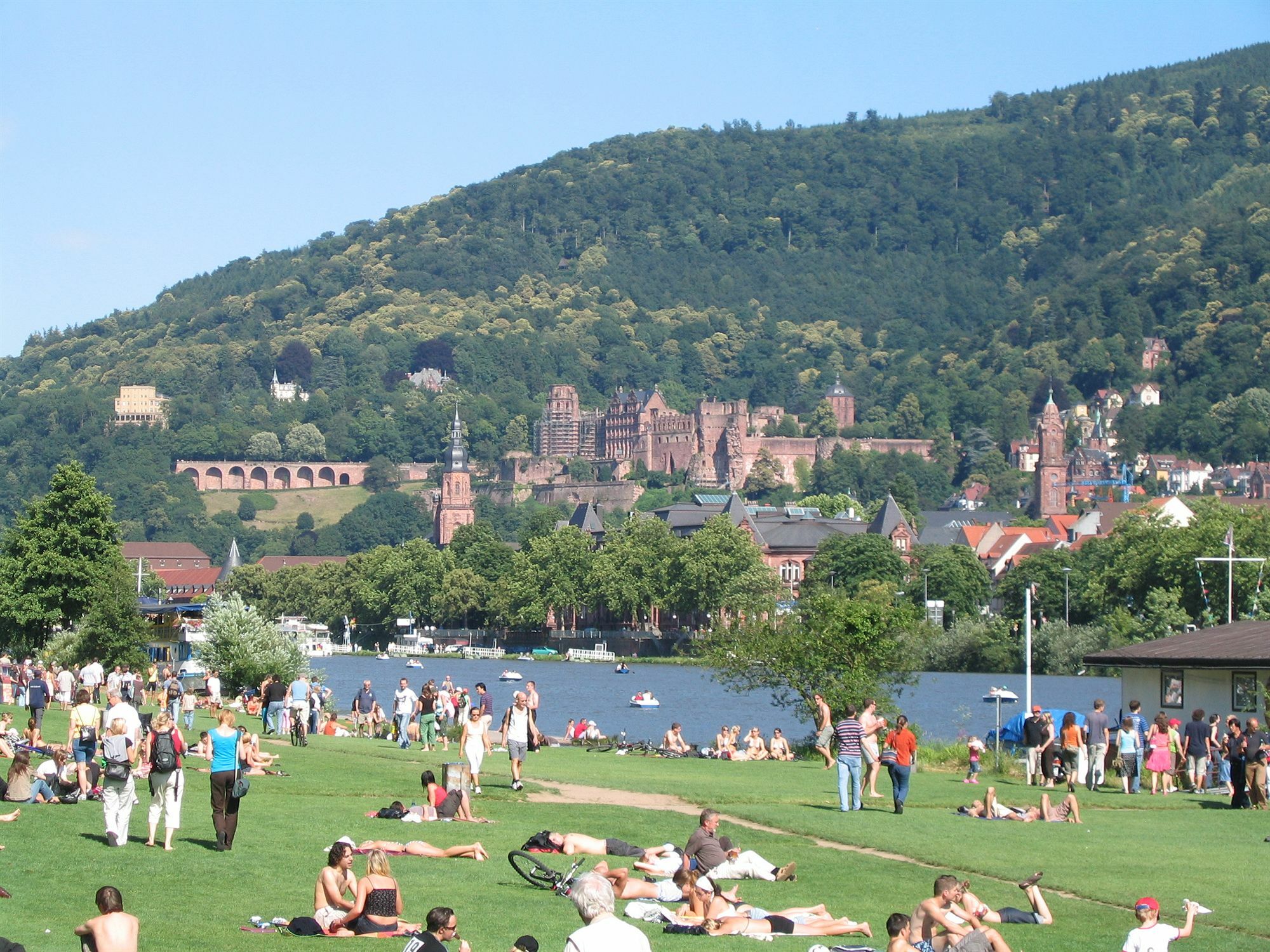 Neu Heidelberg - Guesthouse & Apartments Dış mekan fotoğraf