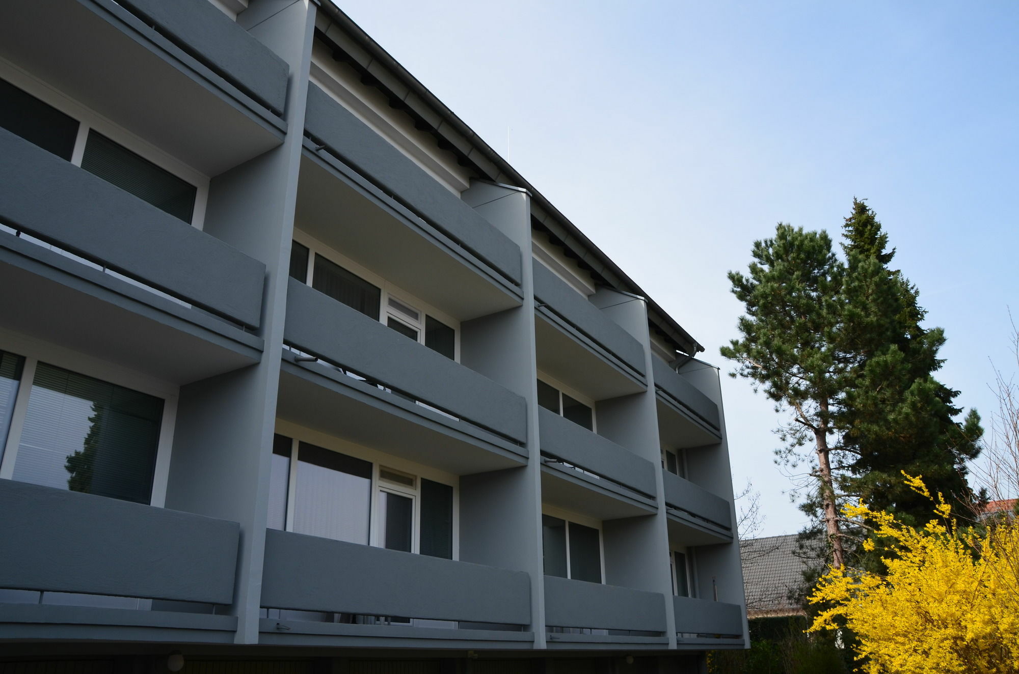 Neu Heidelberg - Guesthouse & Apartments Dış mekan fotoğraf