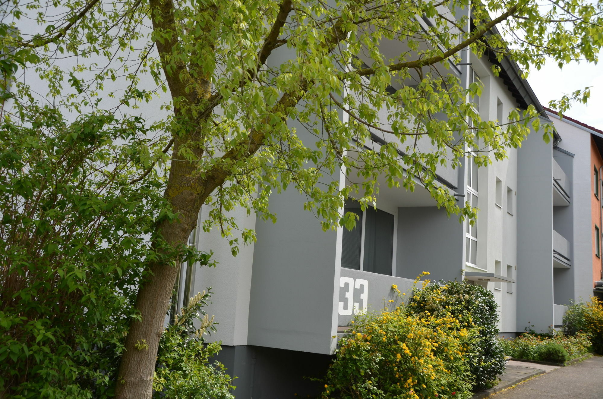 Neu Heidelberg - Guesthouse & Apartments Dış mekan fotoğraf