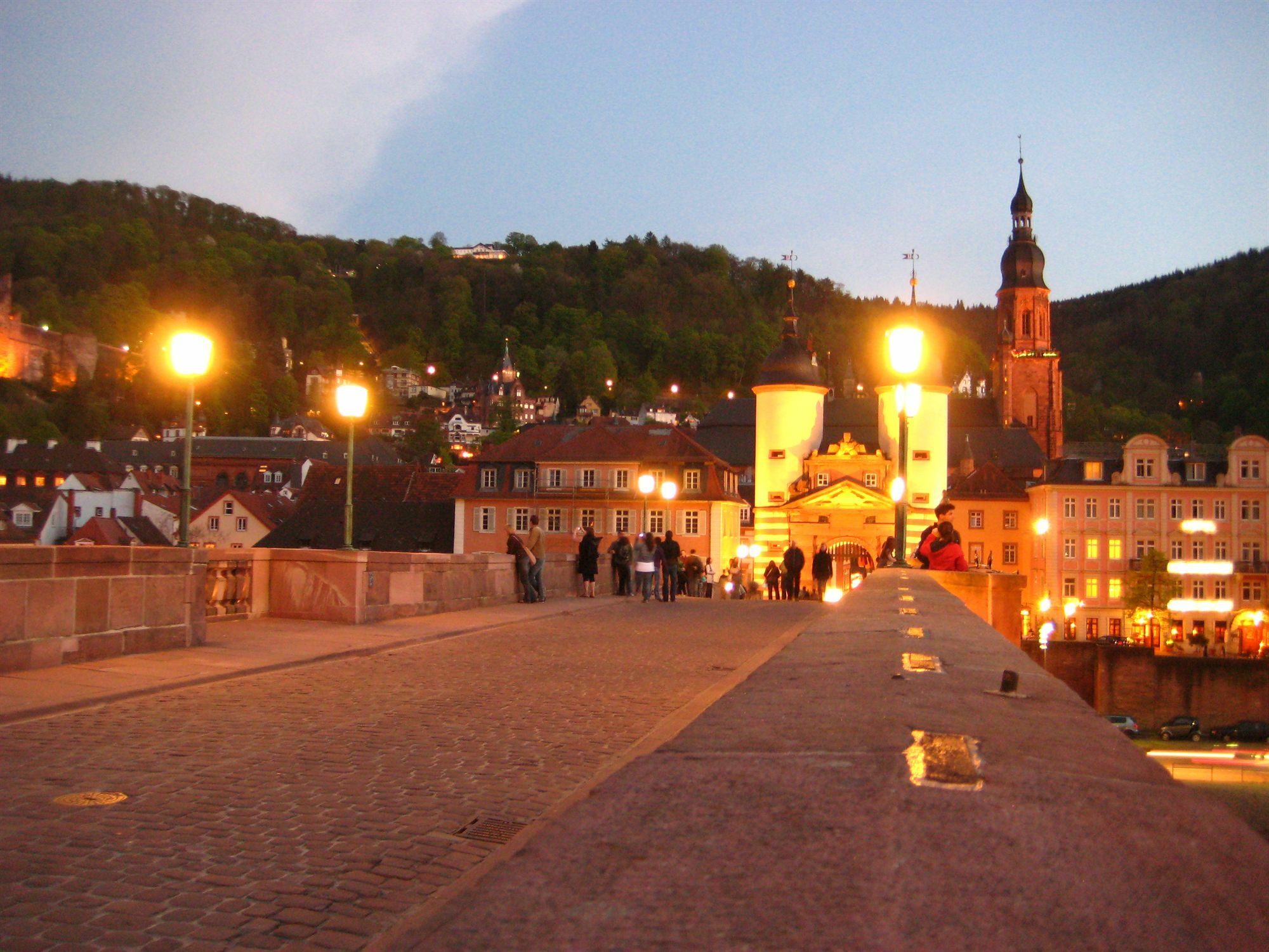 Neu Heidelberg - Guesthouse & Apartments Dış mekan fotoğraf