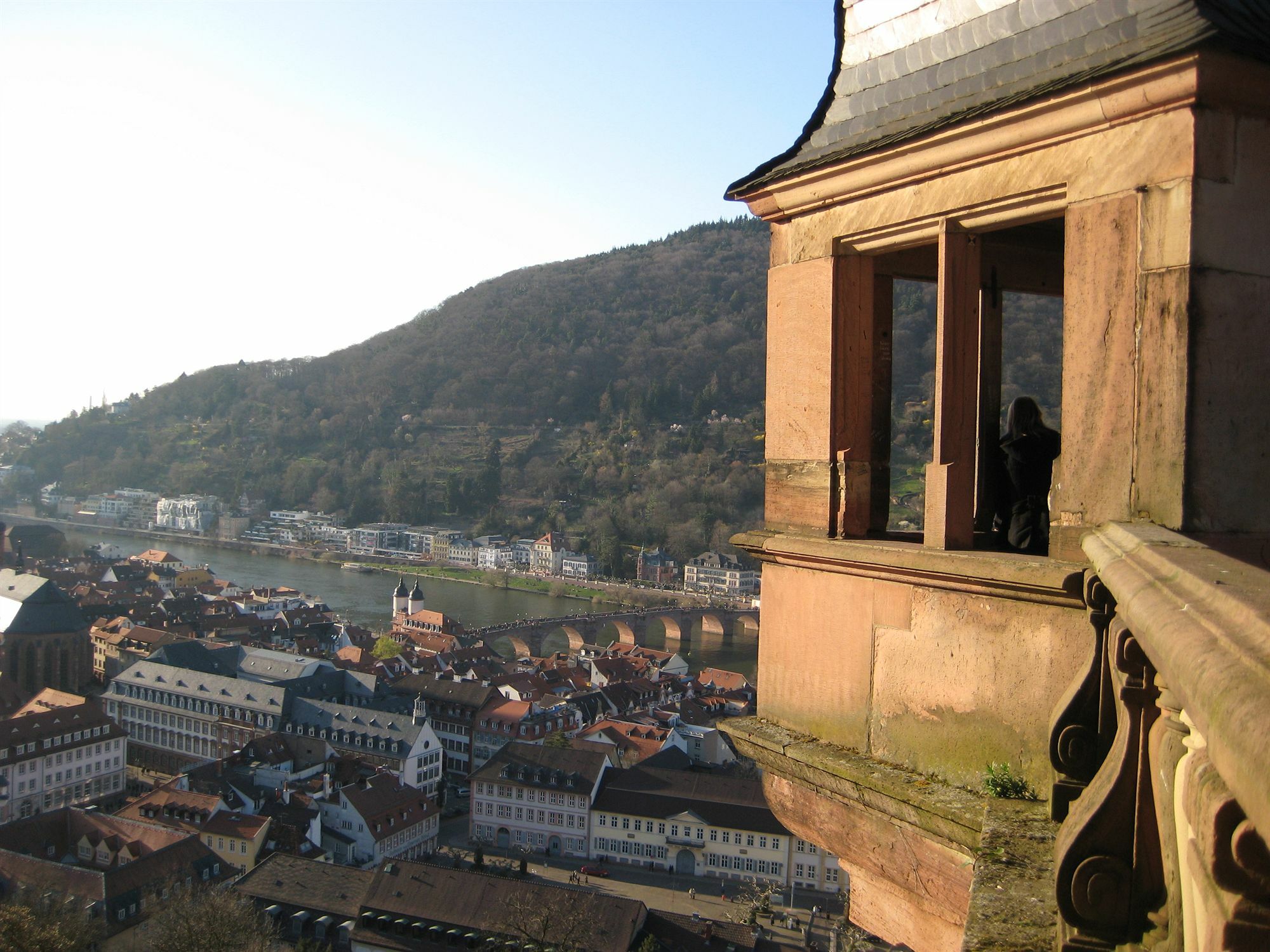 Neu Heidelberg - Guesthouse & Apartments Dış mekan fotoğraf