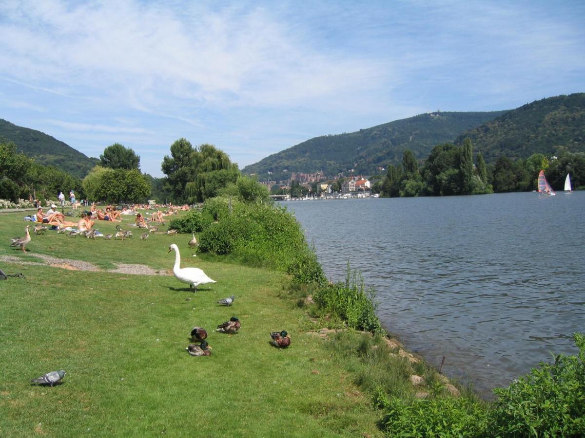 Neu Heidelberg - Guesthouse & Apartments Dış mekan fotoğraf