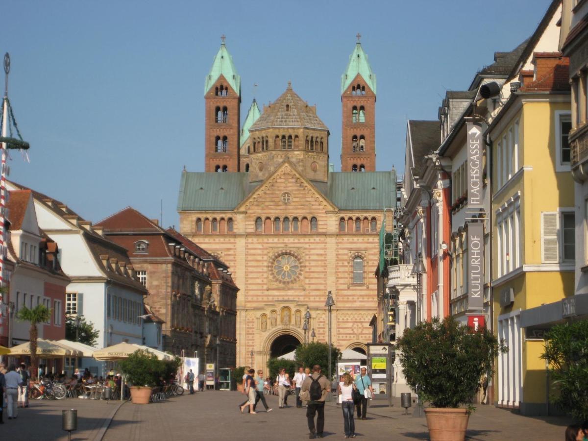Neu Heidelberg - Guesthouse & Apartments Dış mekan fotoğraf